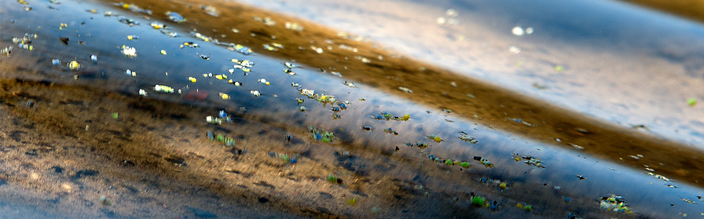 Mikroplastik Wasser Plastik