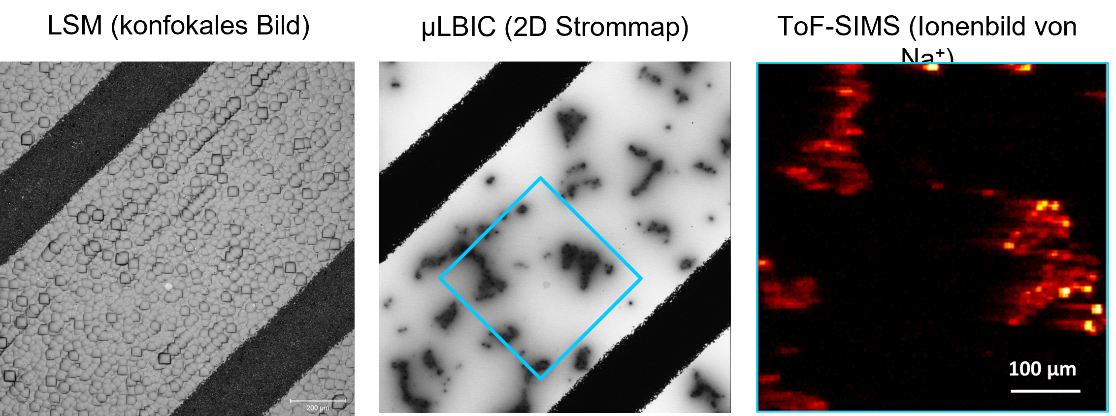 Korrelative Analyse PID