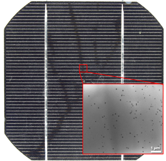 Schneckenspuren auf Solarzelle