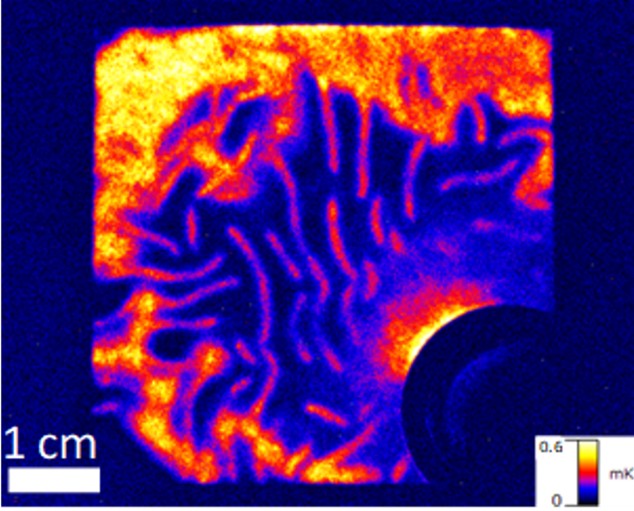 Lock-in thermography of a CCM shows high and low resistance by thermal differences